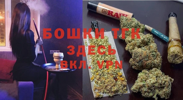 альфа пвп Гусиноозёрск