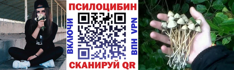 Галлюциногенные грибы MAGIC MUSHROOMS  Купить где  Озёры 